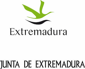 logo marca + junta