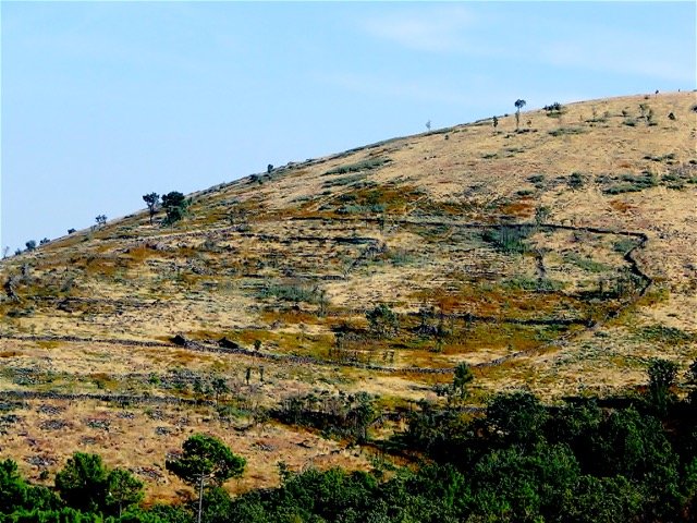 FIG.4: Entorno del menhir. Restos de bancales en la ladera del monte de La Atalaya